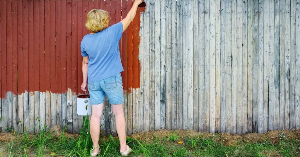 Fence Alternatives You Hadn’t Thought Of