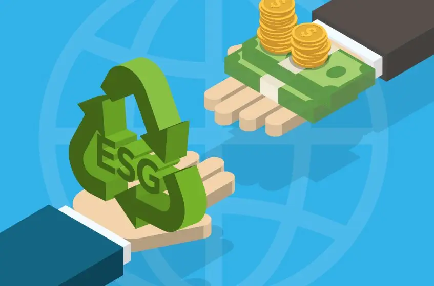 International Implementation: Strategies for Successful Global Projects