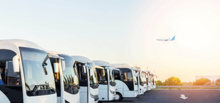 coach hire sunshine coast