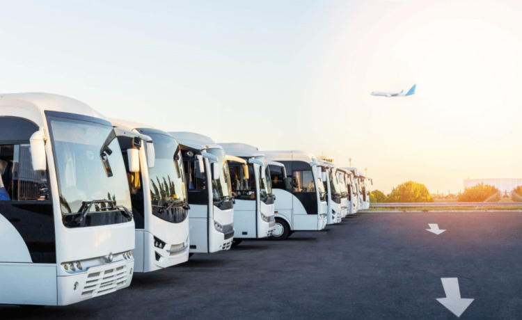 coach hire sunshine coast
